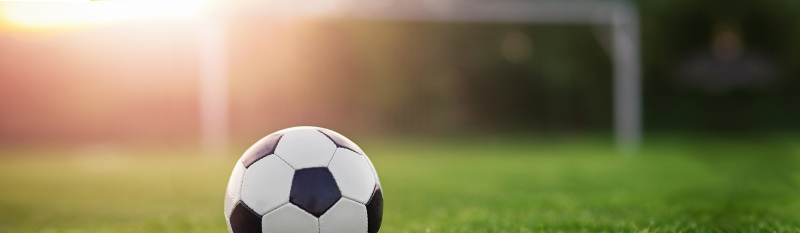 Grow your business with creative ideas